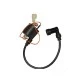 Bobine haute tension PW80 Coyote 80cm3 minico