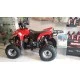 Quad enfant Raptor 110cm3