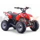 Quad enfant Raptor 110cm3