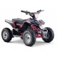 Mini Quad électrique E-ROCK 800W