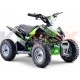 Mini Quad électrique 800W Vert