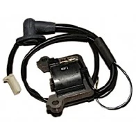 Bobine allumage 1E44F
