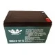 Batteries 12V 12Ah bornier à vis