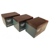 lot de 3 batteries 12V 12AH