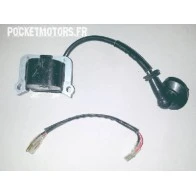 Bobine d'allumage Moteur 1E44F