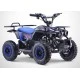 Pocket quad Électrique 800W RINO