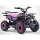Pocket Quad 49cc RINO rose