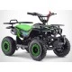 Pocket Quad 49cc RINO vert