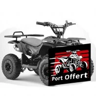 Pocket Quad 49cc RINO port gratuit