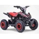 Mini Quad électrique 800W