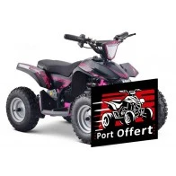 Mini Quad électrique E-ROCK 800W