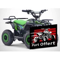 Pocket quad Électrique 800W RINO