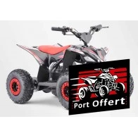 Quad électrique 1000W