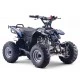 Quad enfant Raptor 110cm3