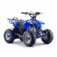 Quad enfant Raptor 110cm3