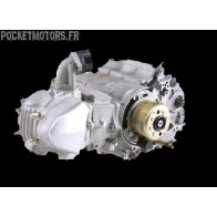 Moteur DAYTONA 150cm3 18ch